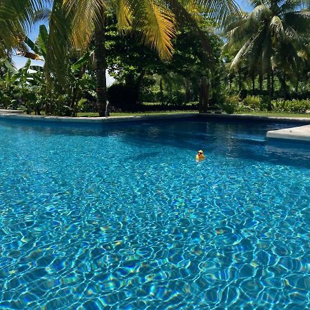 Sand Dollar Beach Bed & Breakfast Bocas del Toro Extérieur photo