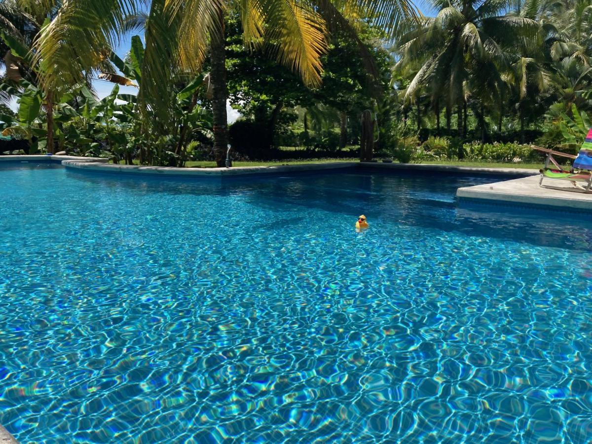 Sand Dollar Beach Bed & Breakfast Bocas del Toro Extérieur photo