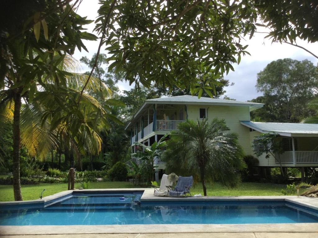 Sand Dollar Beach Bed & Breakfast Bocas del Toro Extérieur photo