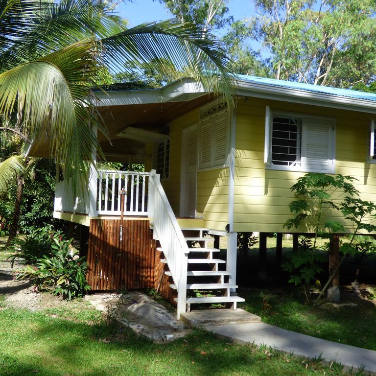 Sand Dollar Beach Bed & Breakfast Bocas del Toro Chambre photo