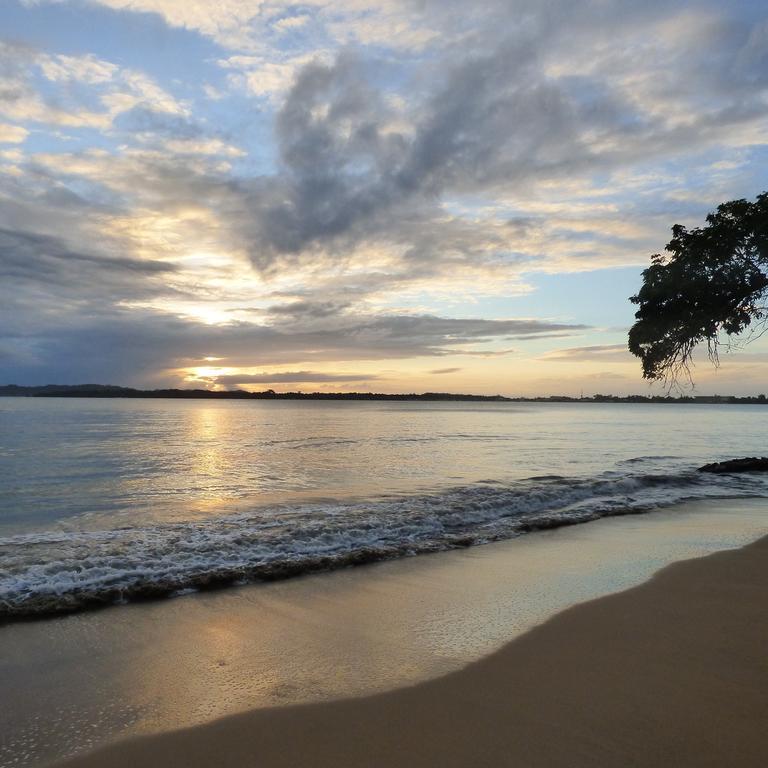 Sand Dollar Beach Bed & Breakfast Bocas del Toro Extérieur photo