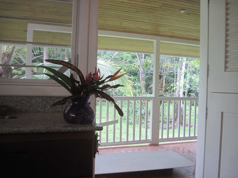 Sand Dollar Beach Bed & Breakfast Bocas del Toro Extérieur photo