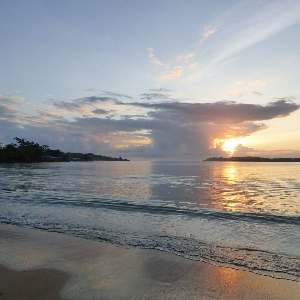 Sand Dollar Beach Bed & Breakfast Bocas del Toro Extérieur photo